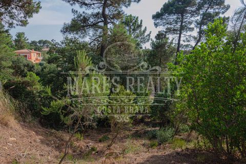 Terra a Lloret De Mar, Gerona, Lloret De Mar - € 55.000 | Ref: 253T - foto 7
