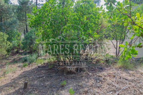 Terra a Lloret De Mar, Gerona, Lloret De Mar - € 55.000 | Ref: 253T - foto 8