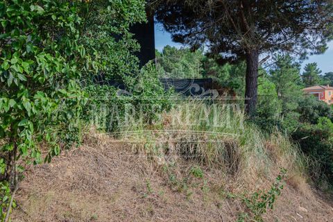 Terra a Lloret De Mar, Gerona, Lloret De Mar - € 55.000 | Ref: 253T - foto 9