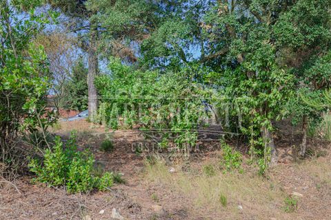 Terra a Lloret De Mar, Gerona, Lloret De Mar - € 55.000 | Ref: 253T - foto 10