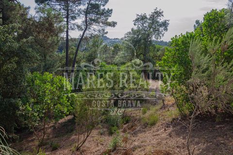 Terra a Lloret De Mar, Gerona, Lloret De Mar - € 55.000 | Ref: 253T - foto 12
