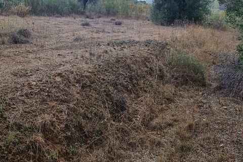 Finca i Corbera D'ebre, Tarragona, Corbera D'ebre - € 34.000 | Ref: C - foto 4