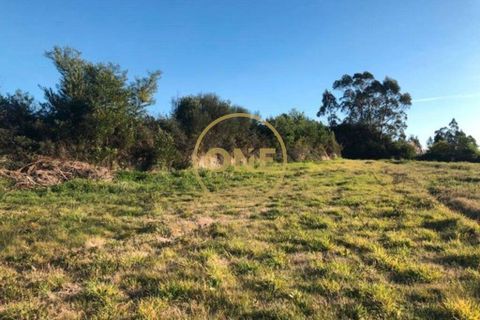 Helårsgrund i Barcelos, Braga, Barcelos - € 40.000 | Ref: ONE0021050-81 - foto 1