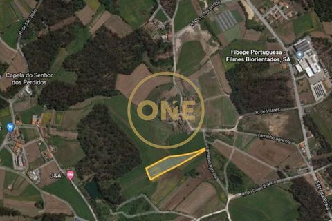 Helårsgrund i Barcelos, Braga, Barcelos - € 40.000 | Ref: ONE0021050-81 - foto 3