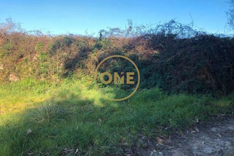 Helårsgrund i Barcelos, Braga, Barcelos - € 40.000 | Ref: ONE0021050-81 - foto 4
