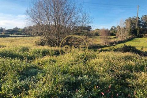 Helårsgrund i Barcelos, Braga, Barcelos - € 40.000 | Ref: ONE0021050-81 - foto 5