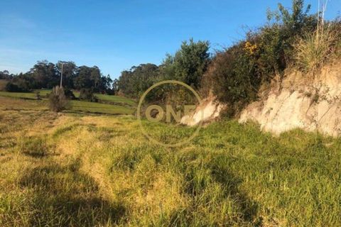 Helårsgrund i Barcelos, Braga, Barcelos - € 40.000 | Ref: ONE0021050-81 - foto 6