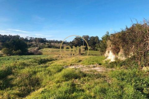 Helårsgrund i Barcelos, Braga, Barcelos - € 40.000 | Ref: ONE0021050-81 - foto 8
