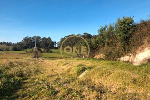 Helårsgrund i Barcelos, Braga, Barcelos - € 40.000 | Ref: ONE0021050-81 - foto 9