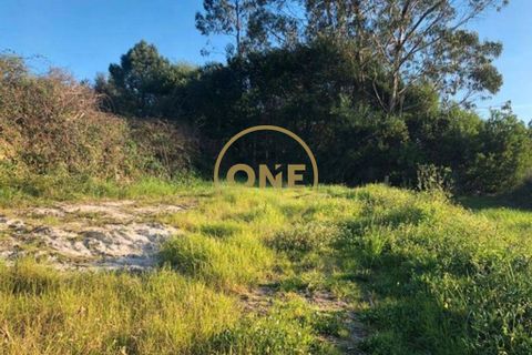 Helårsgrund i Barcelos, Braga, Barcelos - € 40.000 | Ref: ONE0021050-81 - foto 10