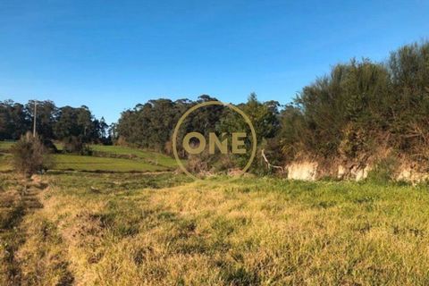 Helårsgrund i Barcelos, Braga, Barcelos - € 40.000 | Ref: ONE0021050-81 - foto 11