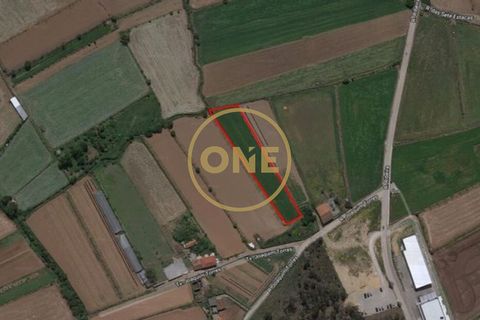 Helårsgrund i Trofa, Porto, Trofa - € 35.000 | Ref: ONE0031259-2 - foto 1