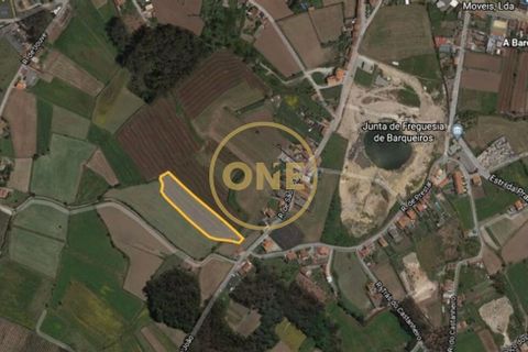 Helårsgrund i Barcelos, Braga, Barcelos - € 45.000 | Ref: ONE0021050-82 - foto 2