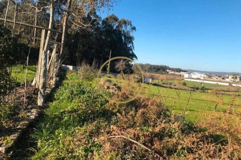 Helårsgrund i Barcelos, Braga, Barcelos - € 45.000 | Ref: ONE0021050-82 - foto 4