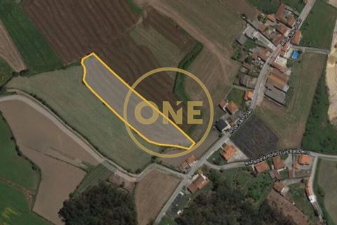 Helårsgrund i Barcelos, Braga, Barcelos - € 45.000 | Ref: ONE0021050-82 - foto 6