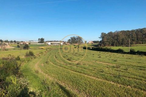 Helårsgrund i Barcelos, Braga, Barcelos - € 45.000 | Ref: ONE0021050-82 - foto 7