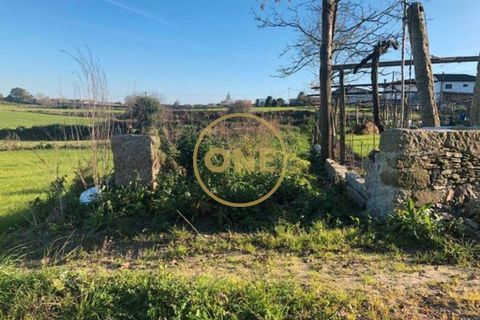Helårsgrund i Barcelos, Braga, Barcelos - € 45.000 | Ref: ONE0021050-82 - foto 8
