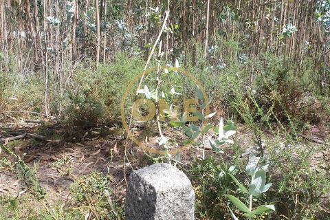 Helårsgrund i Trofa, Porto, Trofa - € 35.000 | Ref: ONE0011245-2 - foto 3