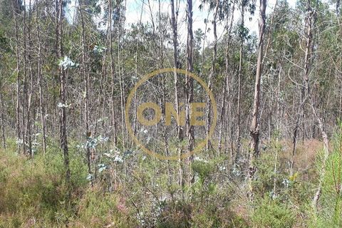 Helårsgrund i Trofa, Porto, Trofa - € 35.000 | Ref: ONE0011245-2 - foto 8