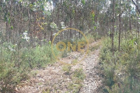 Helårsgrund i Trofa, Porto, Trofa - € 35.000 | Ref: ONE0011245-2 - foto 10