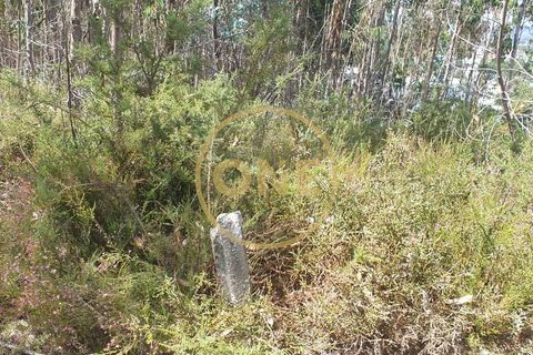 Helårsgrund i Trofa, Porto, Trofa - € 35.000 | Ref: ONE0011245-2 - foto 15