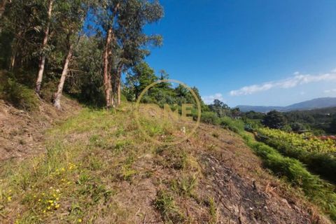 Helårsgrund i Ponte de Lima, Viana do Castelo, Ponte de Lima - € 25.000 | Ref: ONE0021050-66 - foto 12
