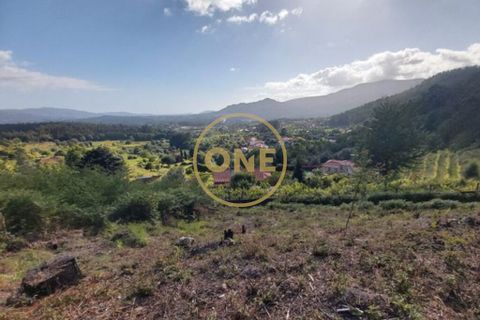 Helårsgrund i Ponte de Lima, Viana do Castelo, Ponte de Lima - € 25.000 | Ref: ONE0021050-66 - foto 2
