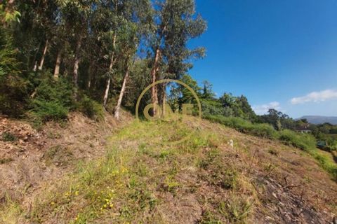 Helårsgrund i Ponte de Lima, Viana do Castelo, Ponte de Lima - € 25.000 | Ref: ONE0021050-66 - foto 4