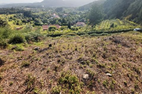 Helårsgrund i Ponte de Lima, Viana do Castelo, Ponte de Lima - € 25.000 | Ref: ONE0021050-66 - foto 5