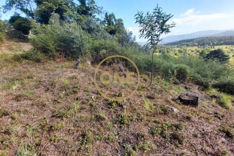 Helårsgrund i Ponte de Lima, Viana do Castelo, Ponte de Lima - € 25.000 | Ref: ONE0021050-66 - foto 6