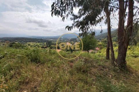 Helårsgrund i Ponte de Lima, Viana do Castelo, Ponte de Lima - € 25.000 | Ref: ONE0021050-66 - foto 9