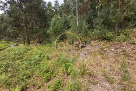 Helårsgrund i Ponte de Lima, Viana do Castelo, Ponte de Lima - € 25.000 | Ref: ONE0021050-66 - foto 13