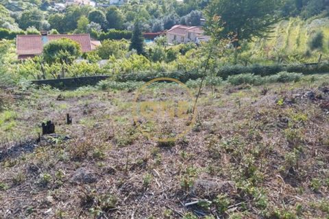 Helårsgrund i Ponte de Lima, Viana do Castelo, Ponte de Lima - € 25.000 | Ref: ONE0021050-66 - foto 14