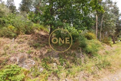 Helårsgrund i Ponte de Lima, Viana do Castelo, Ponte de Lima - € 25.000 | Ref: ONE0021050-66 - foto 15