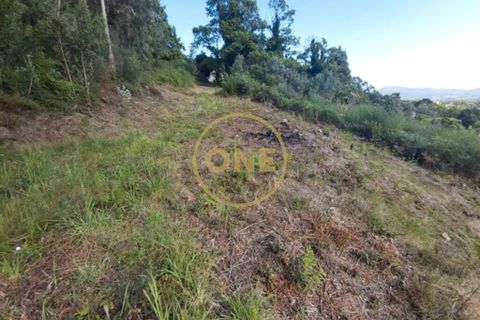 Helårsgrund i Ponte de Lima, Viana do Castelo, Ponte de Lima - € 25.000 | Ref: ONE0021050-66 - foto 16