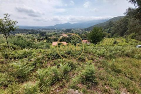 Helårsgrund i Ponte de Lima, Viana do Castelo, Ponte de Lima - € 25.000 | Ref: ONE0021050-66 - foto 18