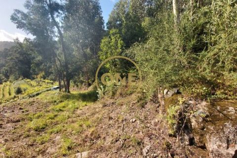Helårsgrund i Ponte de Lima, Viana do Castelo, Ponte de Lima - € 25.000 | Ref: ONE0021050-66 - foto 19