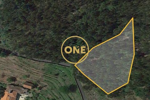 Helårsgrund i Ponte de Lima, Viana do Castelo, Ponte de Lima - € 25.000 | Ref: ONE0021050-66 - foto 21