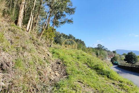 Helårsgrund i Ponte de Lima, Viana do Castelo, Ponte de Lima - € 25.000 | Ref: ONE0021050-66 - foto 25