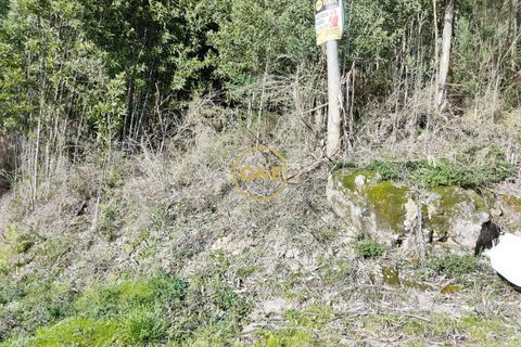 Helårsgrund i Ponte de Lima, Viana do Castelo, Ponte de Lima - € 25.000 | Ref: ONE0021050-66 - foto 26