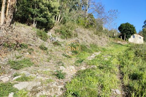 Helårsgrund i Ponte de Lima, Viana do Castelo, Ponte de Lima - € 25.000 | Ref: ONE0021050-66 - foto 27