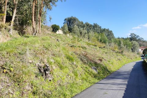 Helårsgrund i Ponte de Lima, Viana do Castelo, Ponte de Lima - € 25.000 | Ref: ONE0021050-66 - foto 31