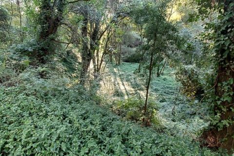 Helårsgrund i Gondomar, Porto, Gondomar - € 39.000 | Ref: ZMPT553317 - foto 2