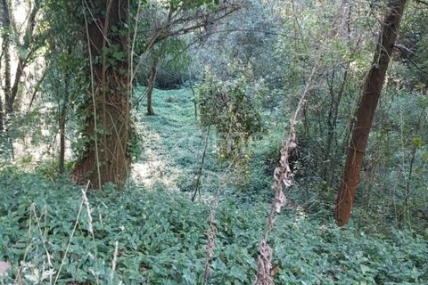 Helårsgrund i Gondomar, Porto, Gondomar - € 39.000 | Ref: ZMPT553317 - foto 5