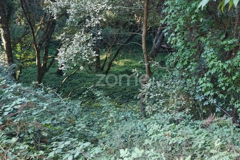 Helårsgrund i Gondomar, Porto, Gondomar - € 39.000 | Ref: ZMPT553317 - foto 6