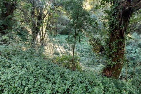 Helårsgrund i Gondomar, Porto, Gondomar - € 39.000 | Ref: ZMPT553317 - foto 1
