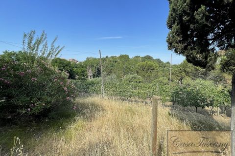 Villa a Palaia, Pisa, Palaia - € 990.000 | Ref: v56783-x - foto 11