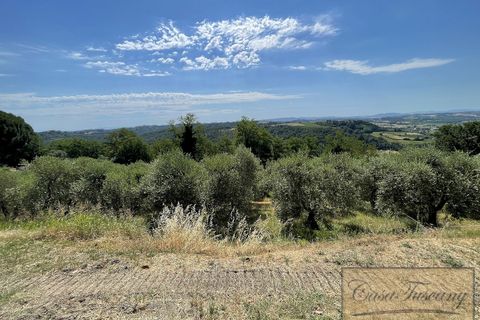 Villa a Palaia, Pisa, Palaia - € 990.000 | Ref: v56783-x - foto 46