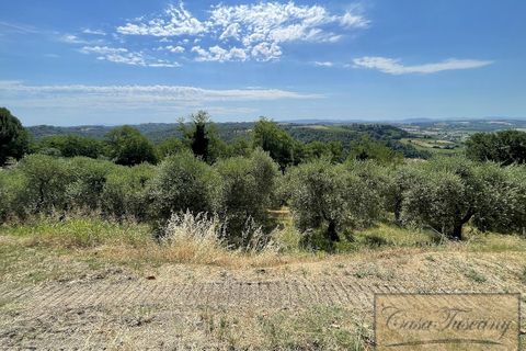 Villa a Palaia, Pisa, Palaia - € 990.000 | Ref: v56783-x - foto 47