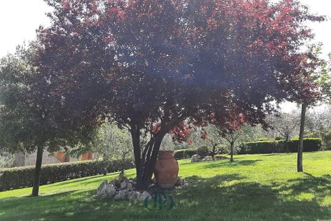 Villa i Sinalunga, Siena, Sinalunga - € 1.050.000 | Ref: 7341757 - foto 4